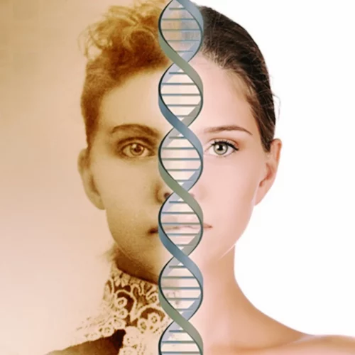 Reprogramación ADN